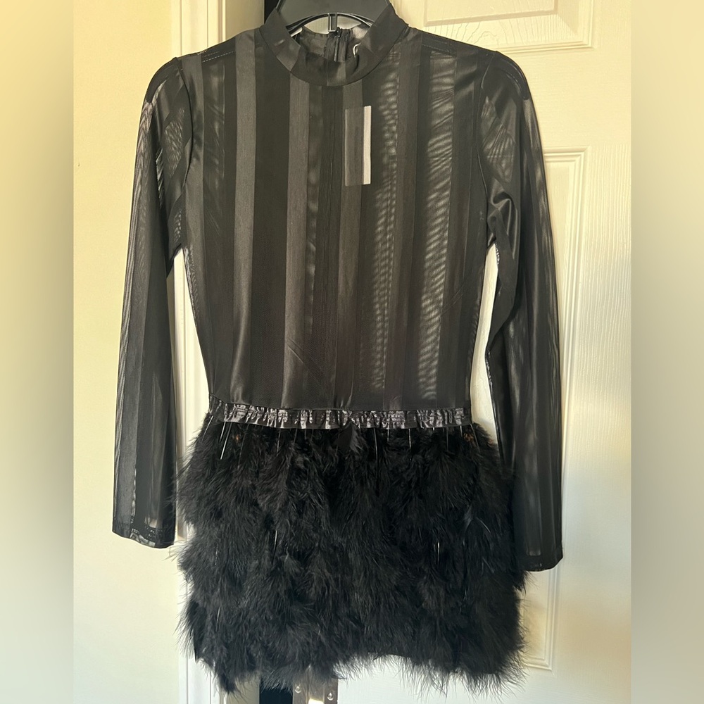 CBR Black Mesh Feather Dress